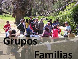 Grupos / Familias